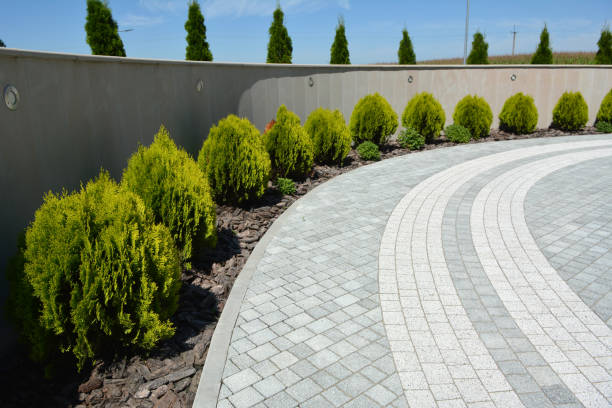 Best Driveway Paving Near Me  in Parrish, AL